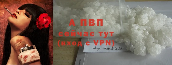 мяу мяу мука Касимов